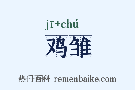 鸡雏是什么意思的图片